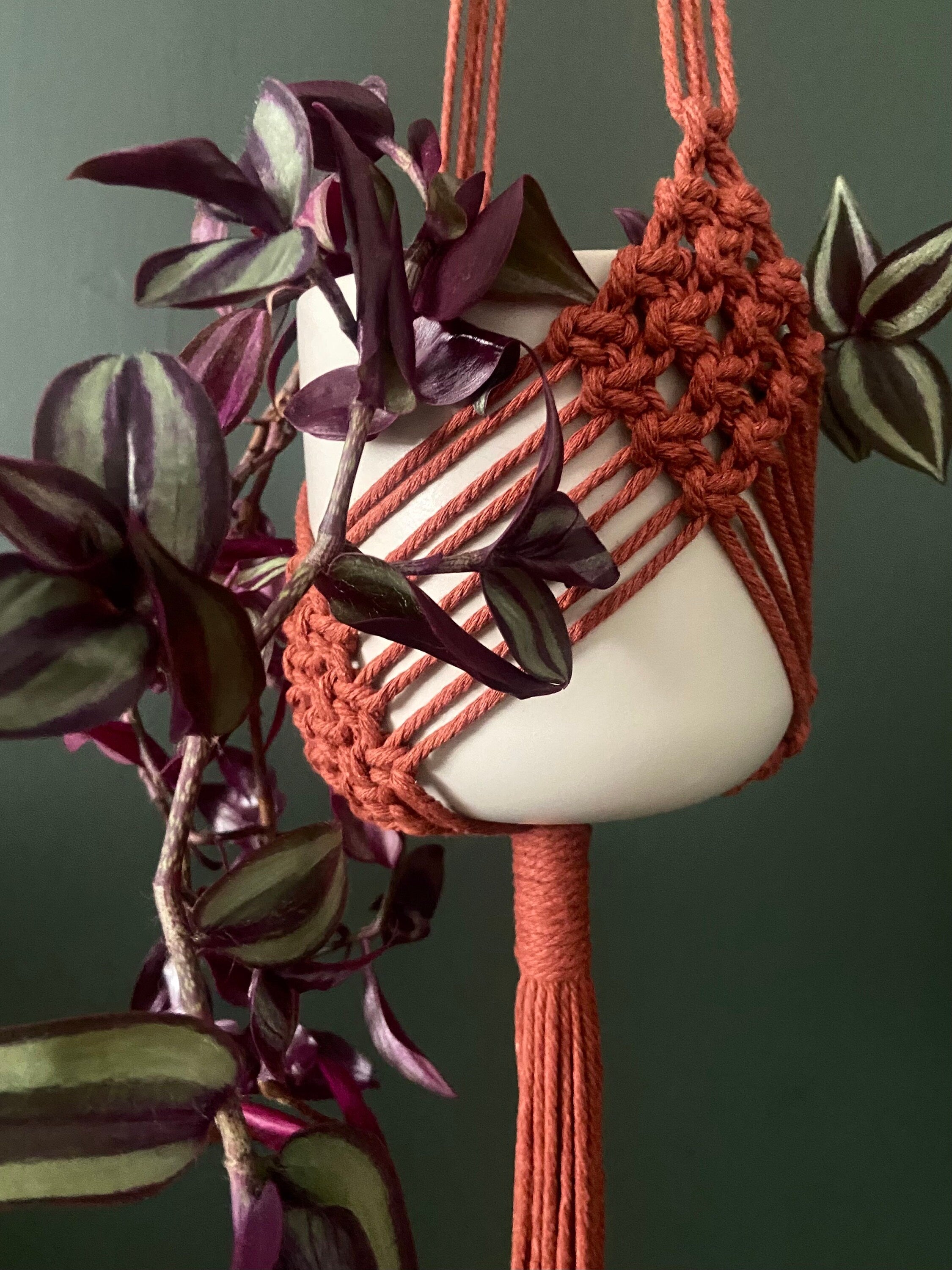 Diamond Macrame Plant Hanger 34”