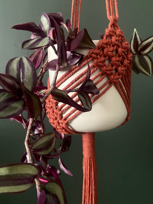 Diamond Macrame Plant Hanger 34”