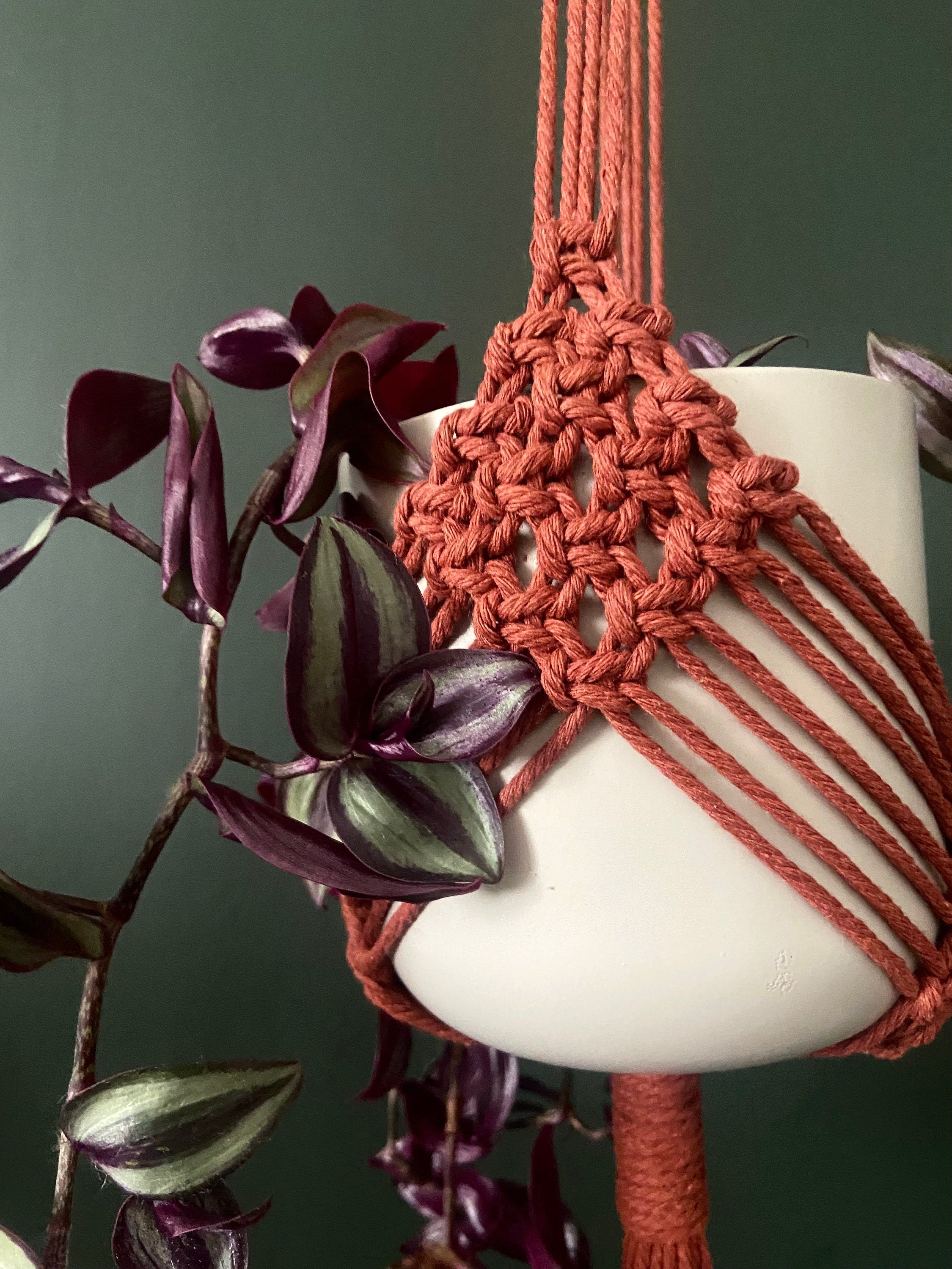 Diamond Macrame Plant Hanger 34”