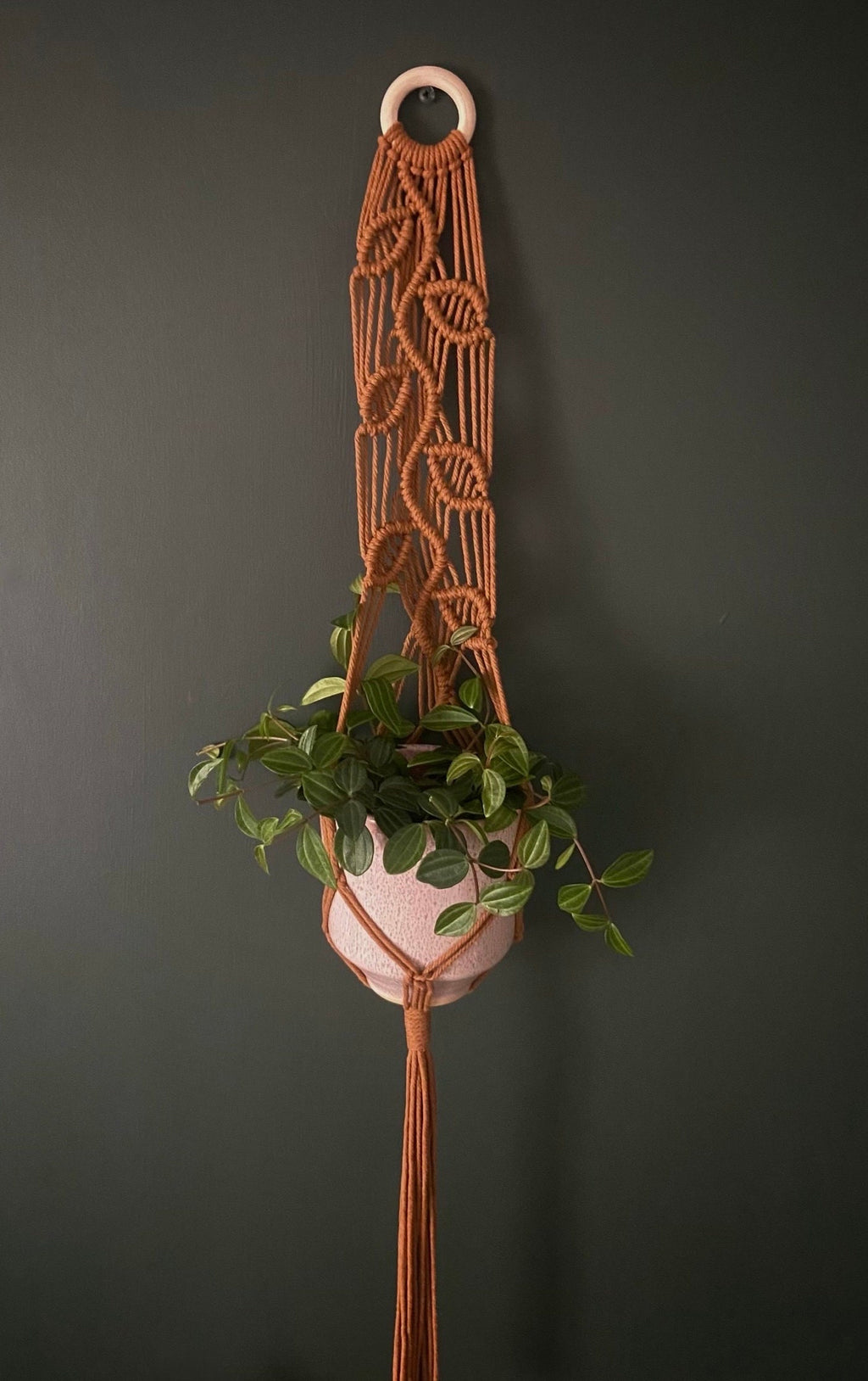 Macrame Vines Plant Hanger 35”