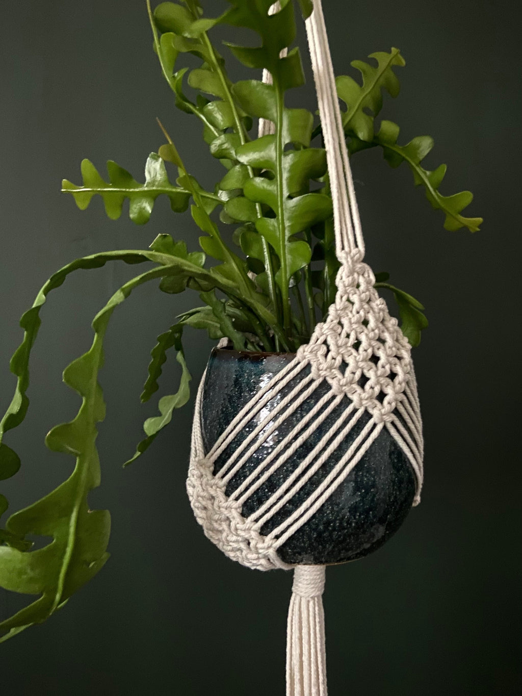 XL Diamond Macrame Plant Hanger 41”