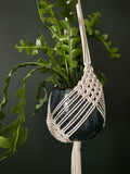 XL Diamond Macrame Plant Hanger 41”