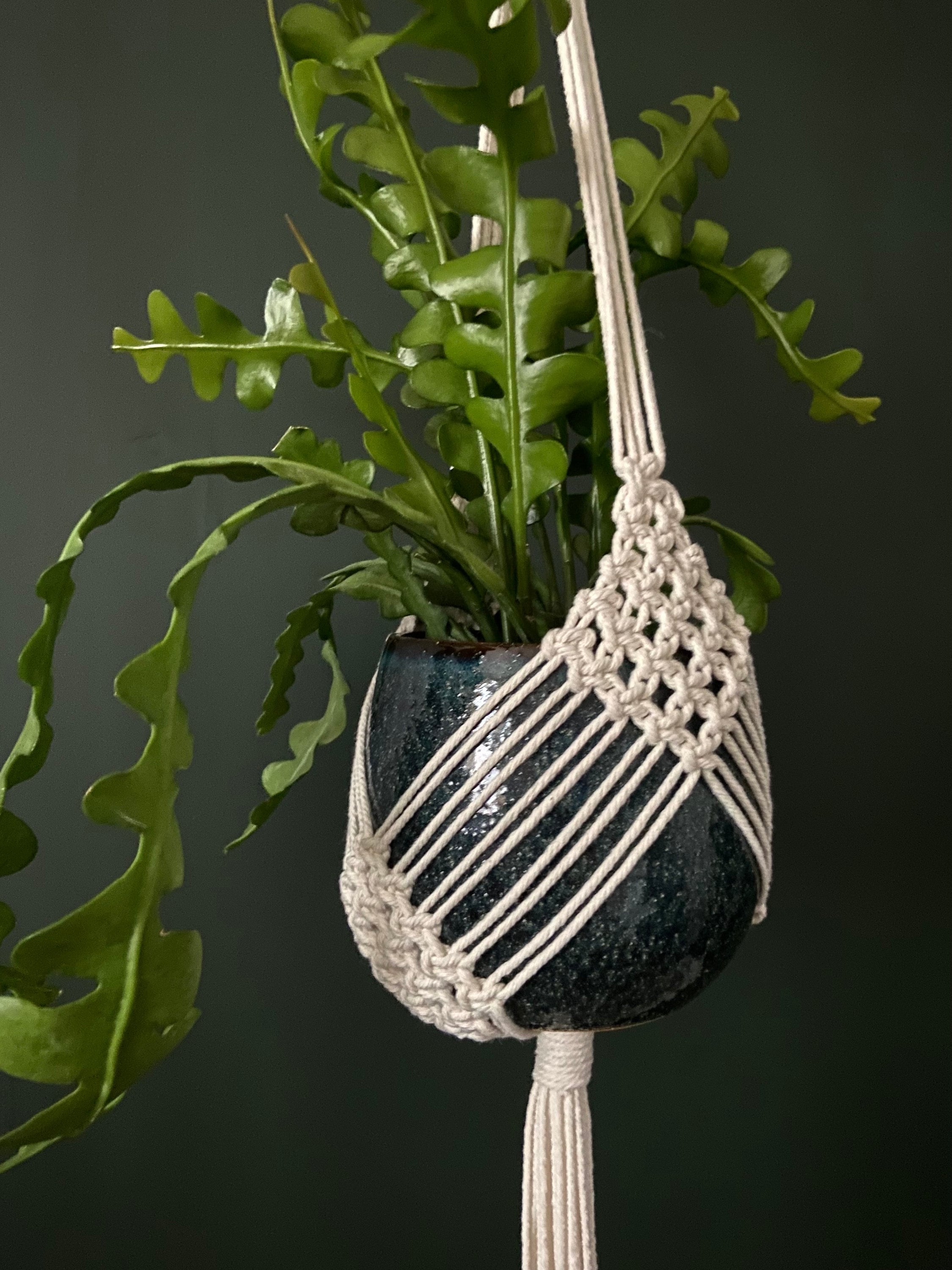 XL Diamond Macrame Plant Hanger 41”