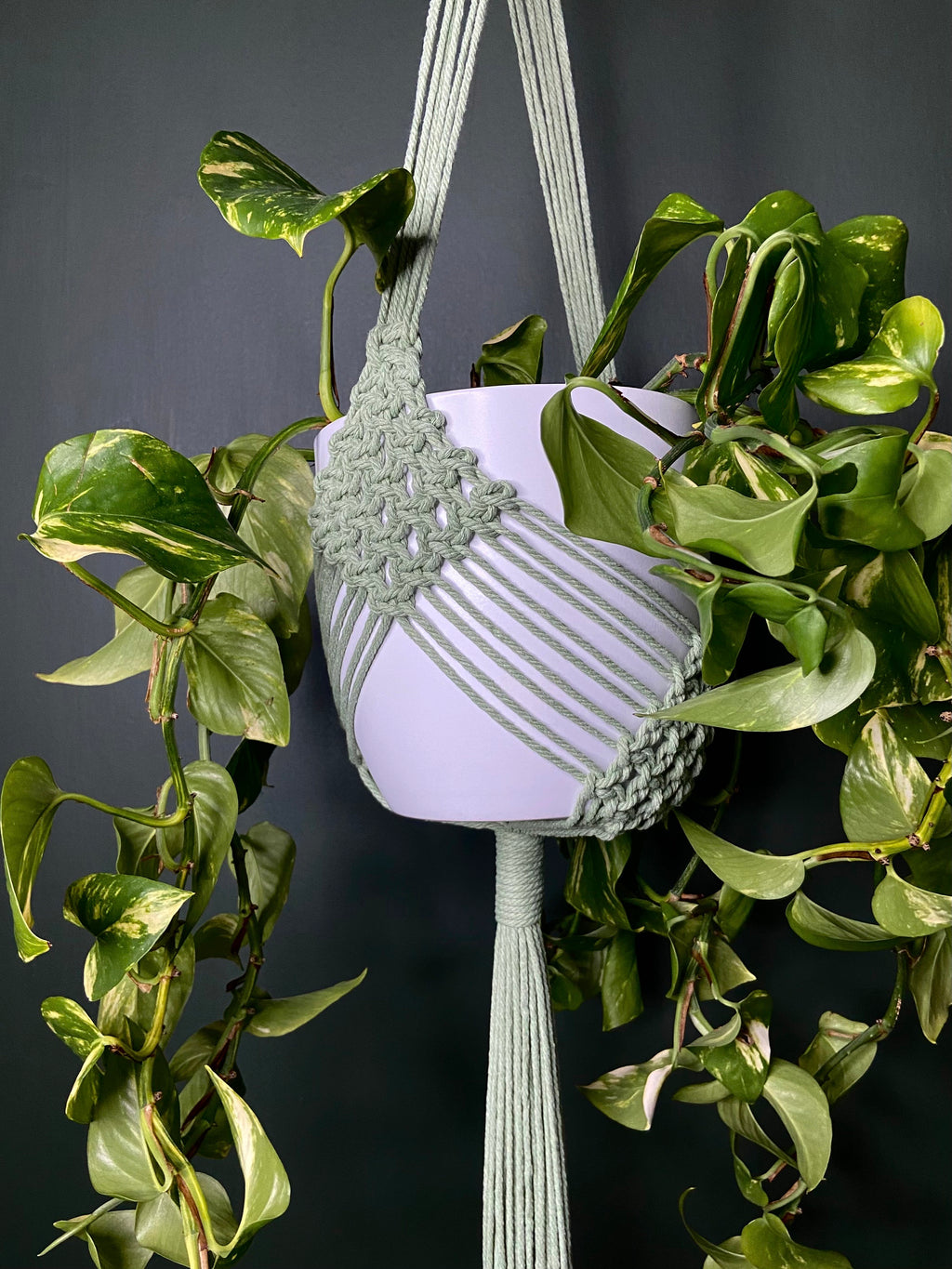 XL Diamond Macrame Plant Hanger 41”