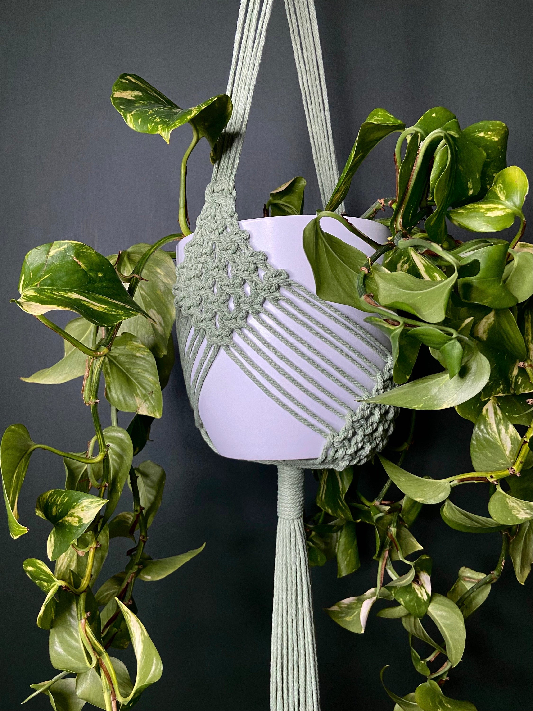 XL Diamond Macrame Plant Hanger 41”