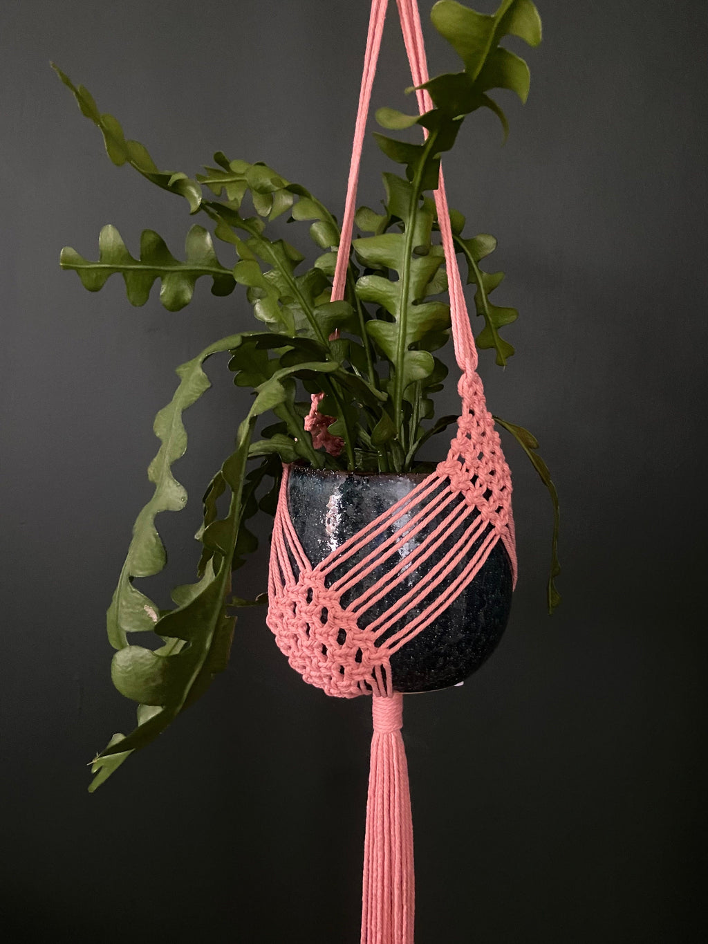 XL Diamond Macrame Plant Hanger 41”