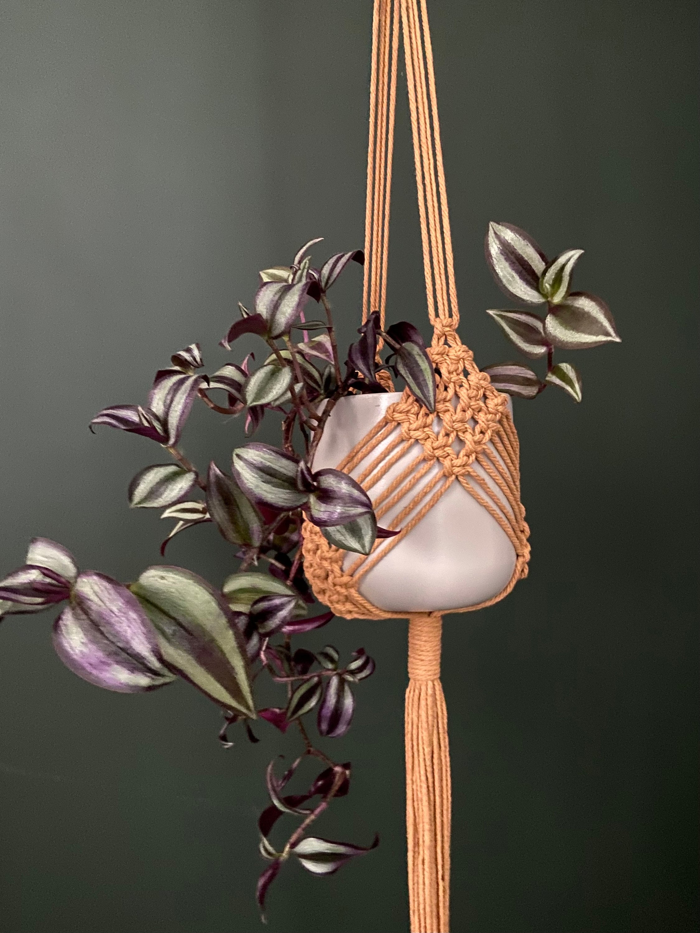 Diamond Macrame Plant Hanger 34”