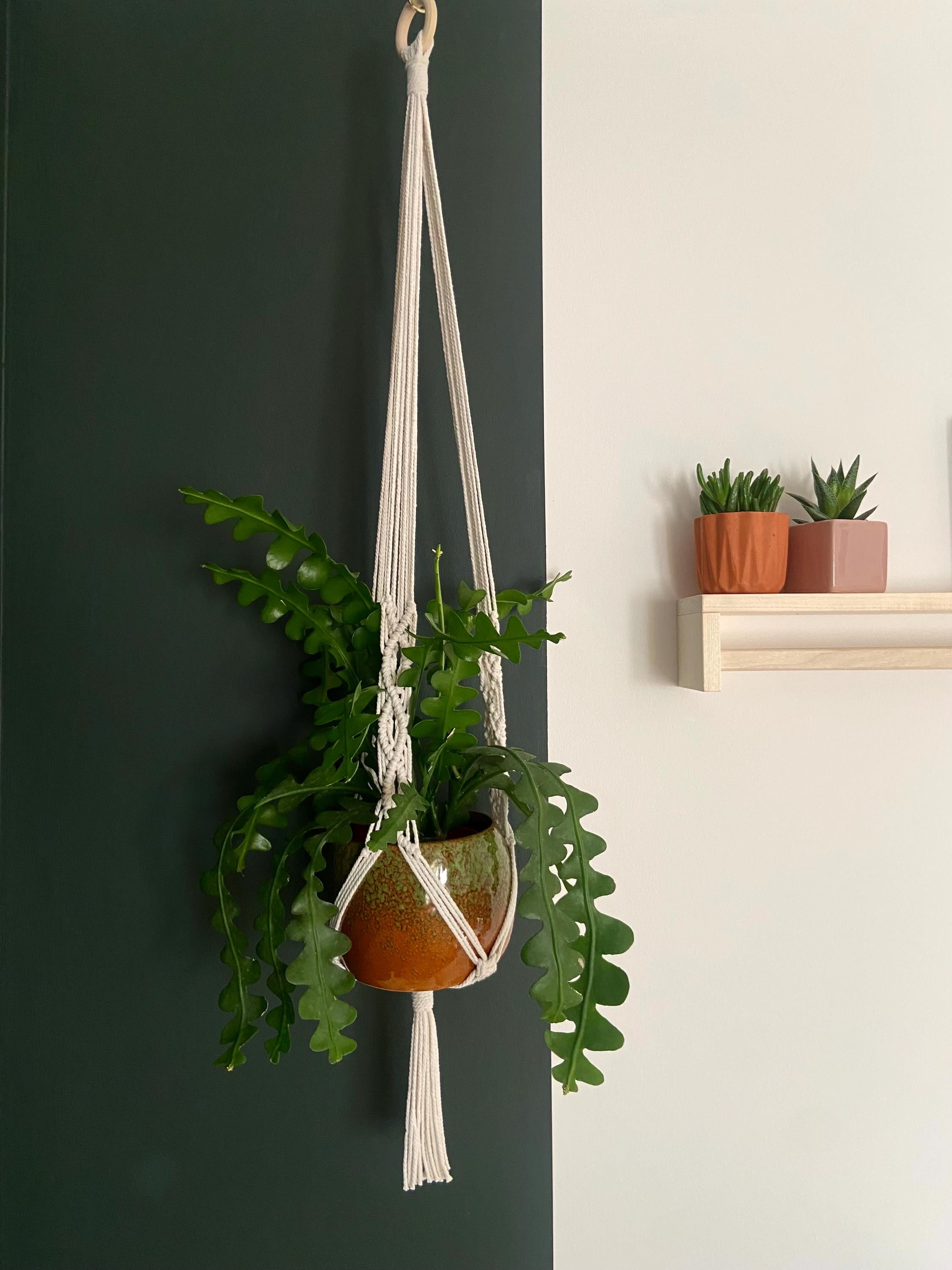 Extra Long Macrame Plant Hanger 44”