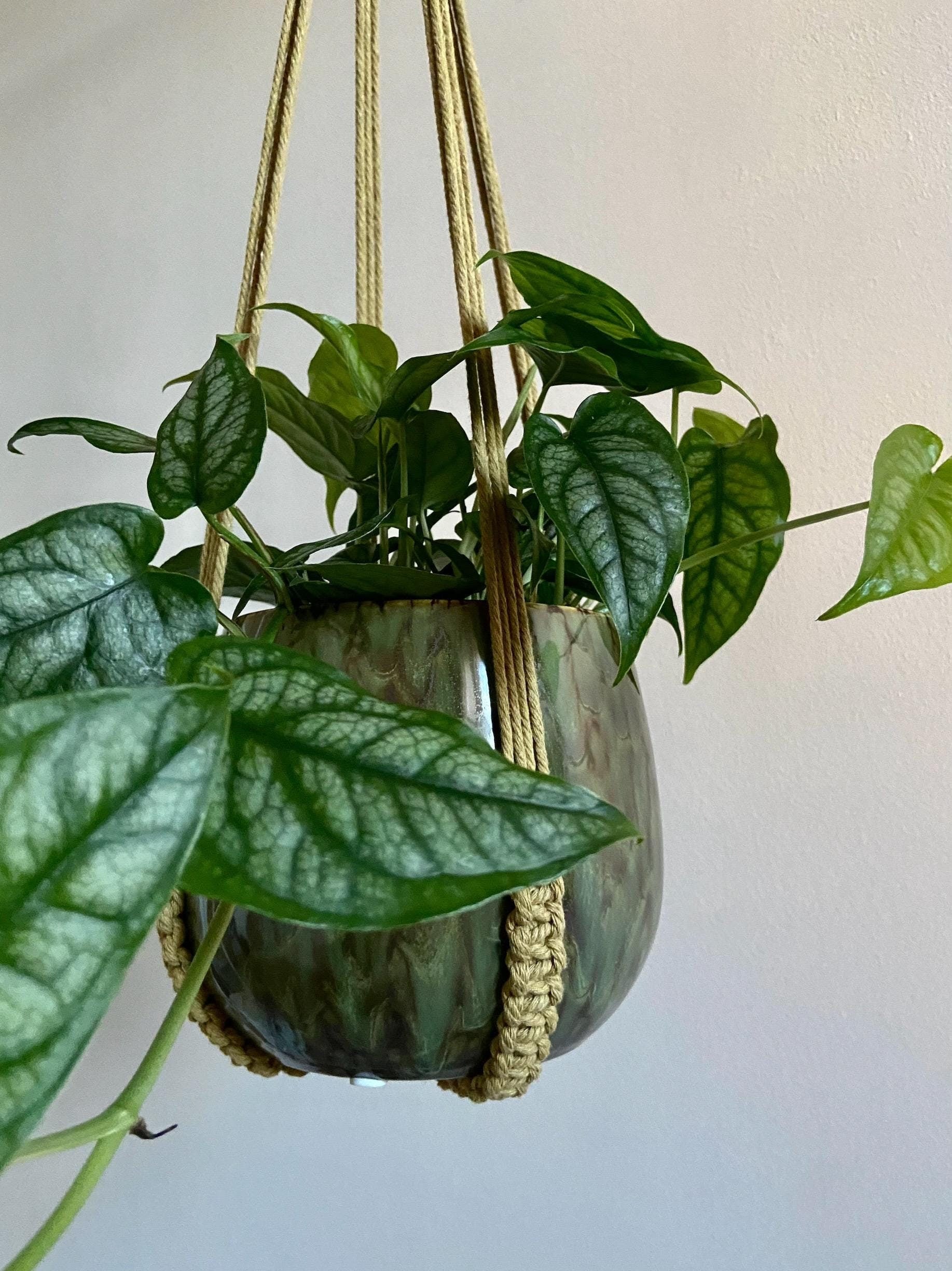 No Tassel Macrame Plant Hanger 28”