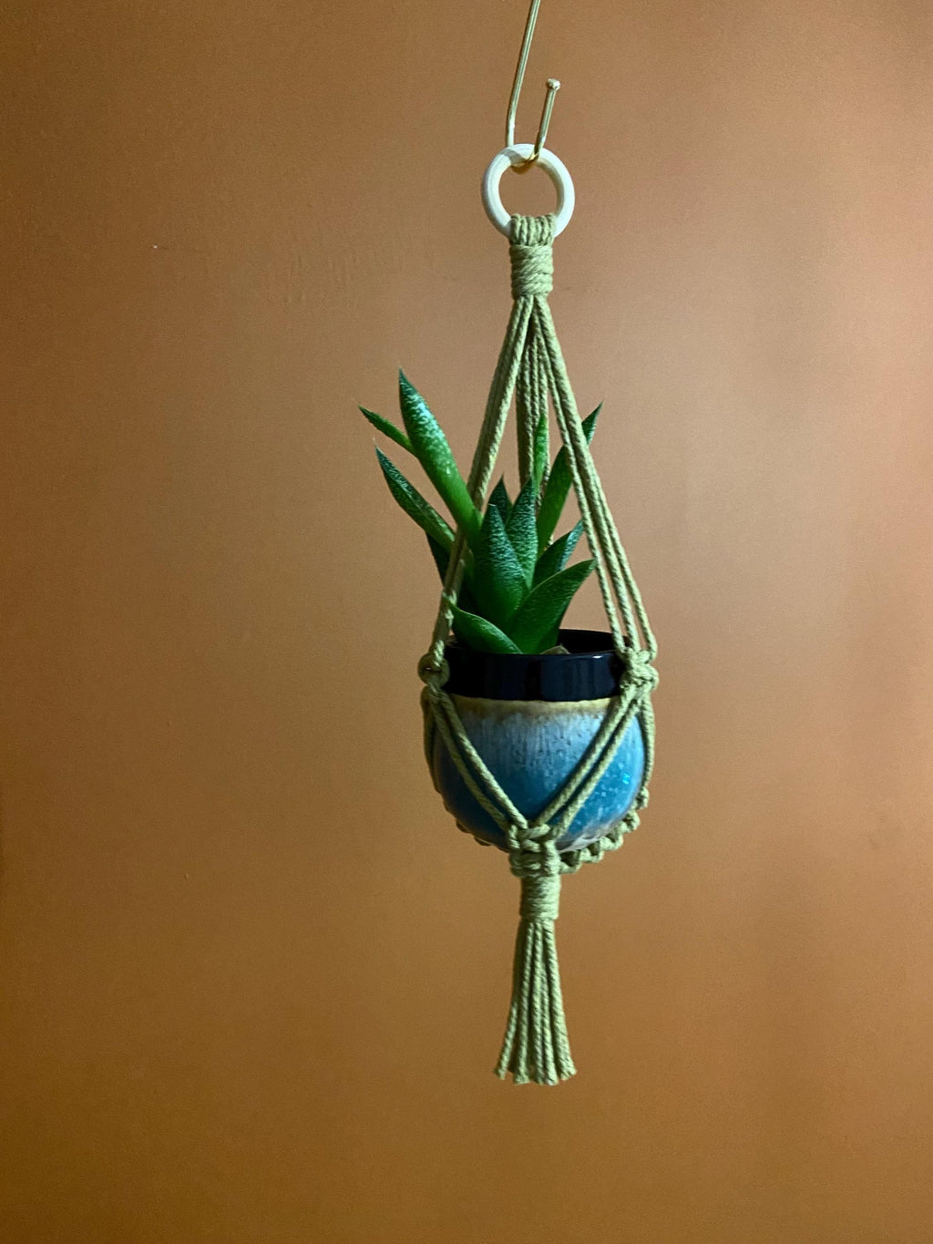 Mini Macrame Plant Hanger, Succulent Planter 14”