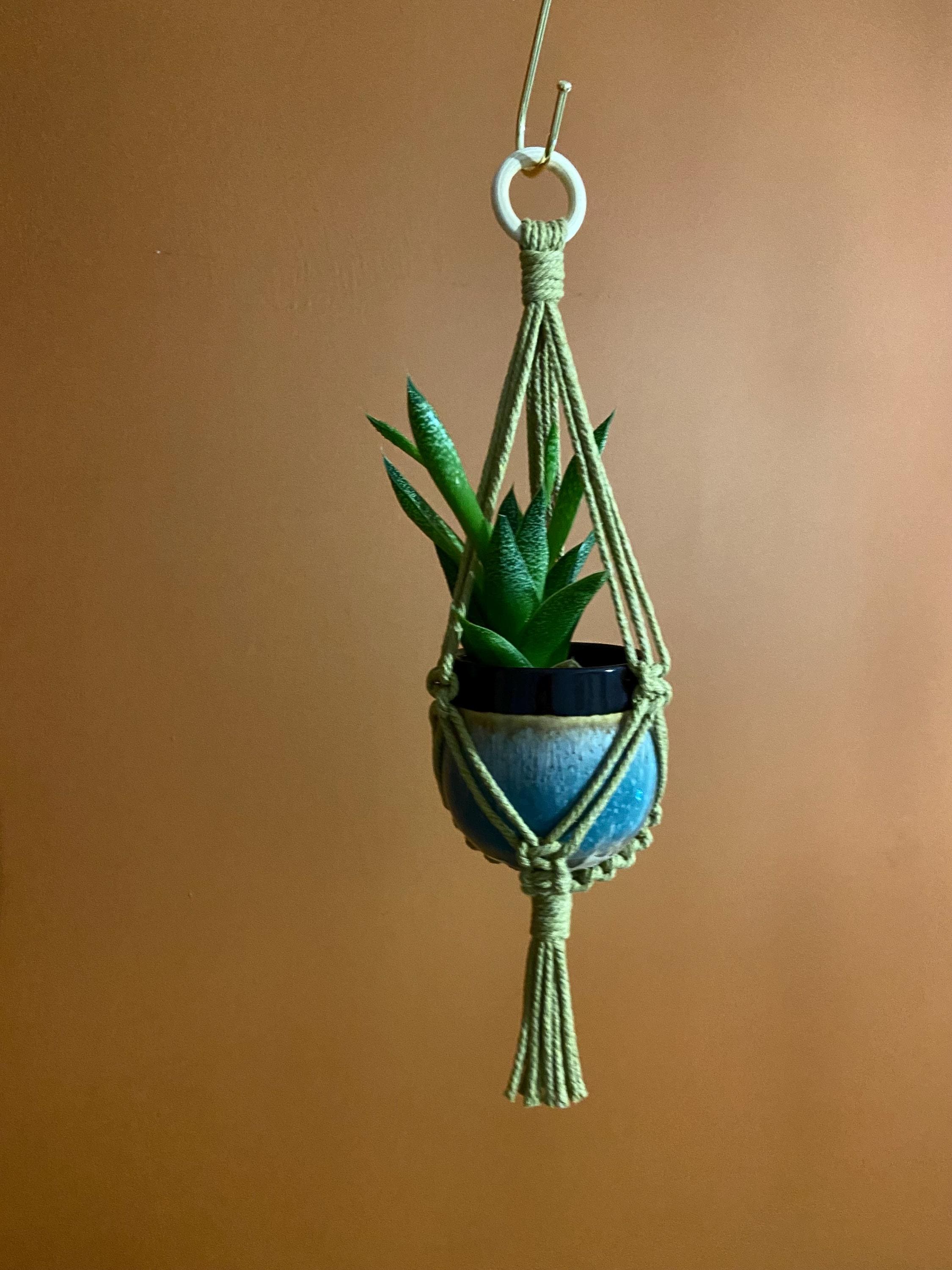 Mini Macrame Plant Hanger, Succulent Planter 14”