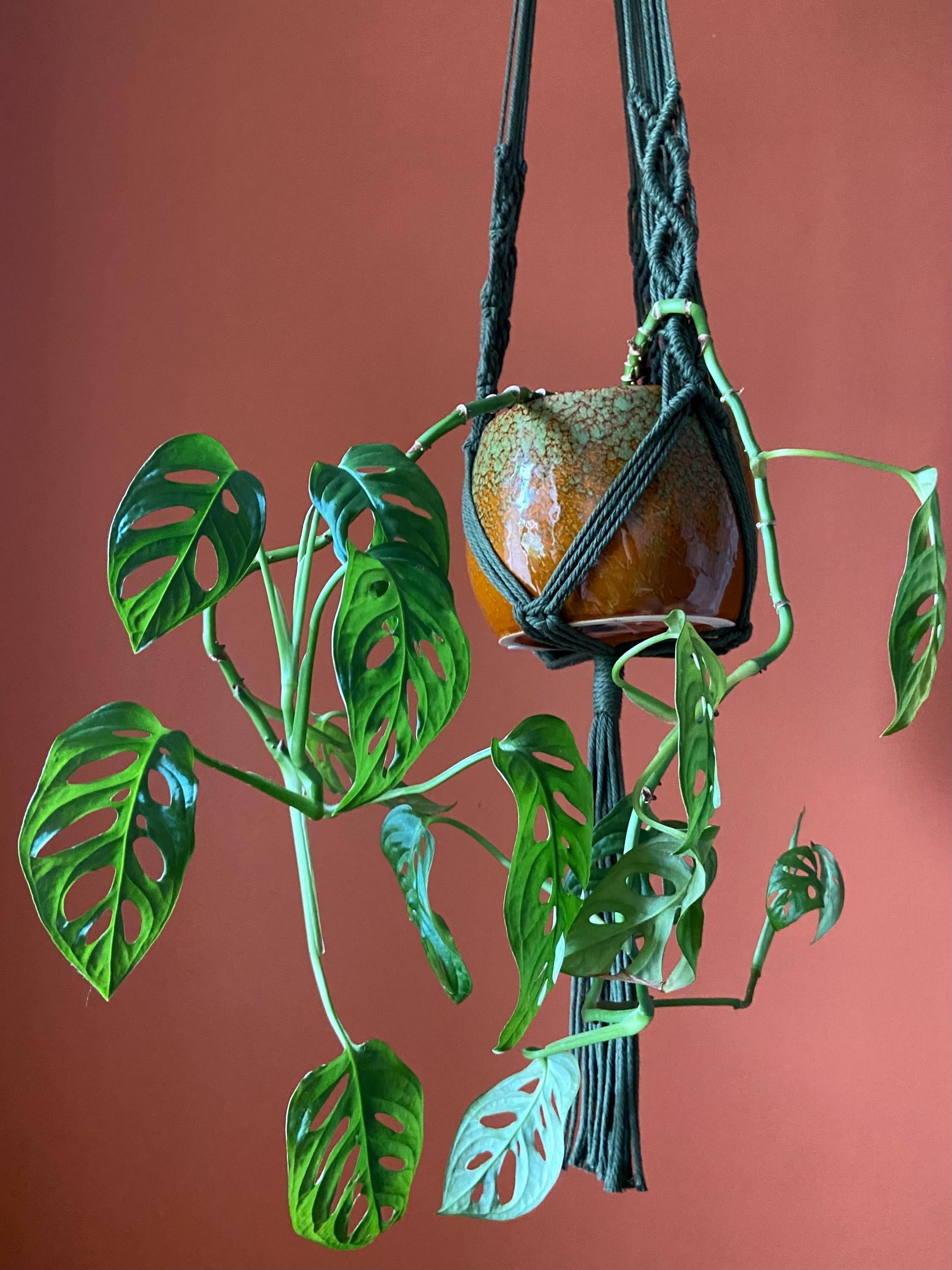 Extra Long Macrame Plant Hanger 44”