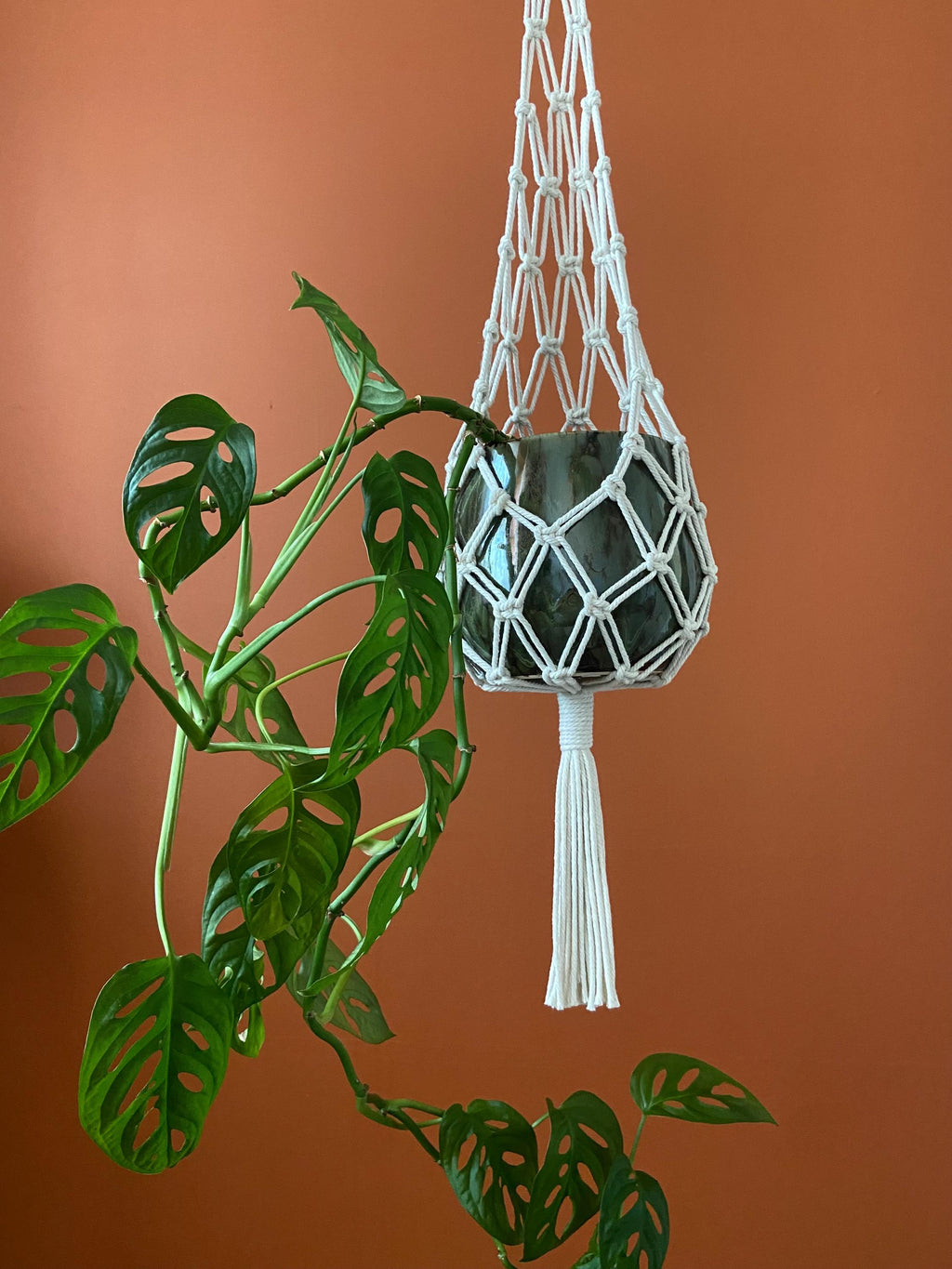 Hammock Macrame Plant Hanger 30"