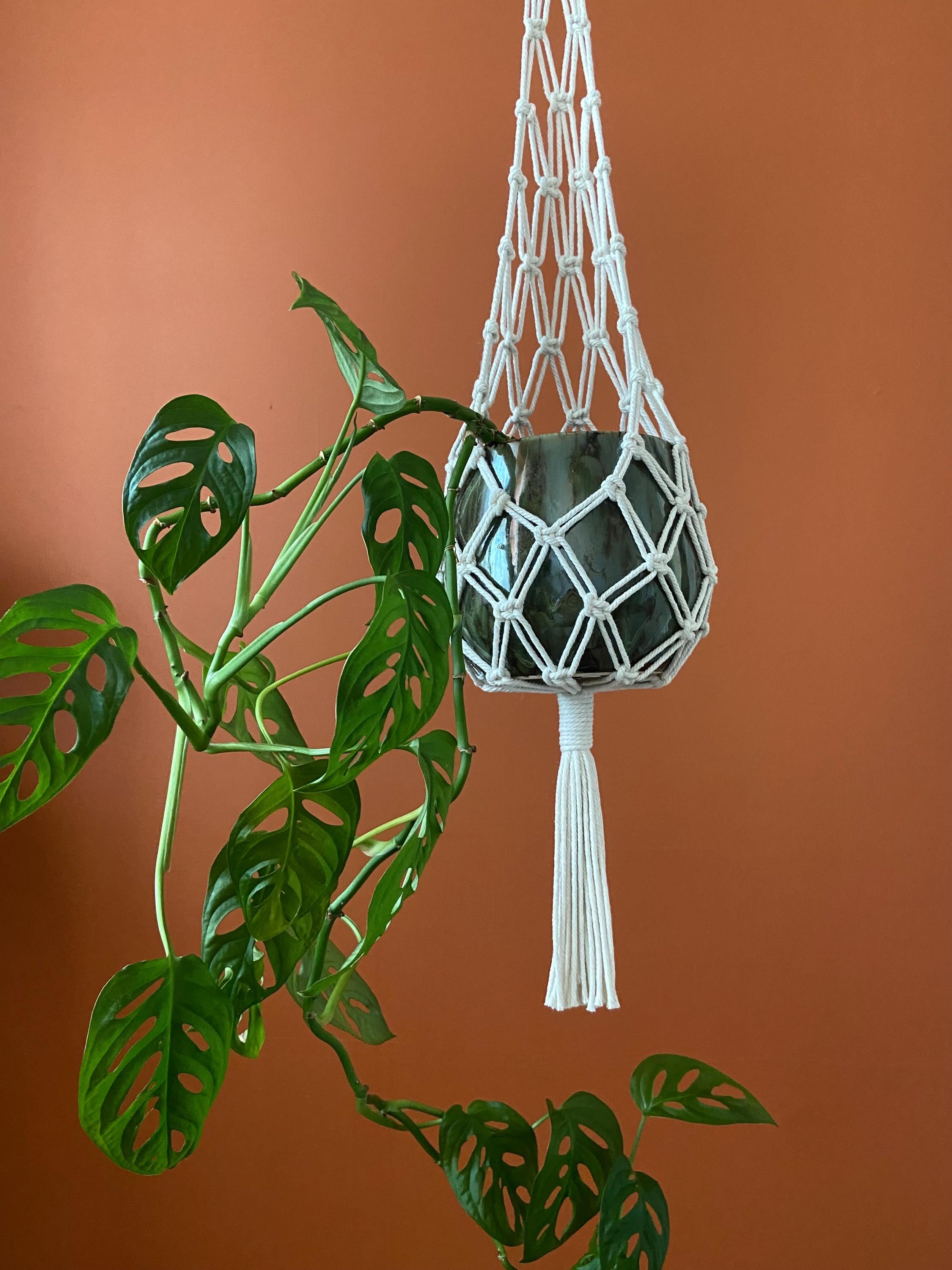 Hammock Macrame Plant Hanger 30"