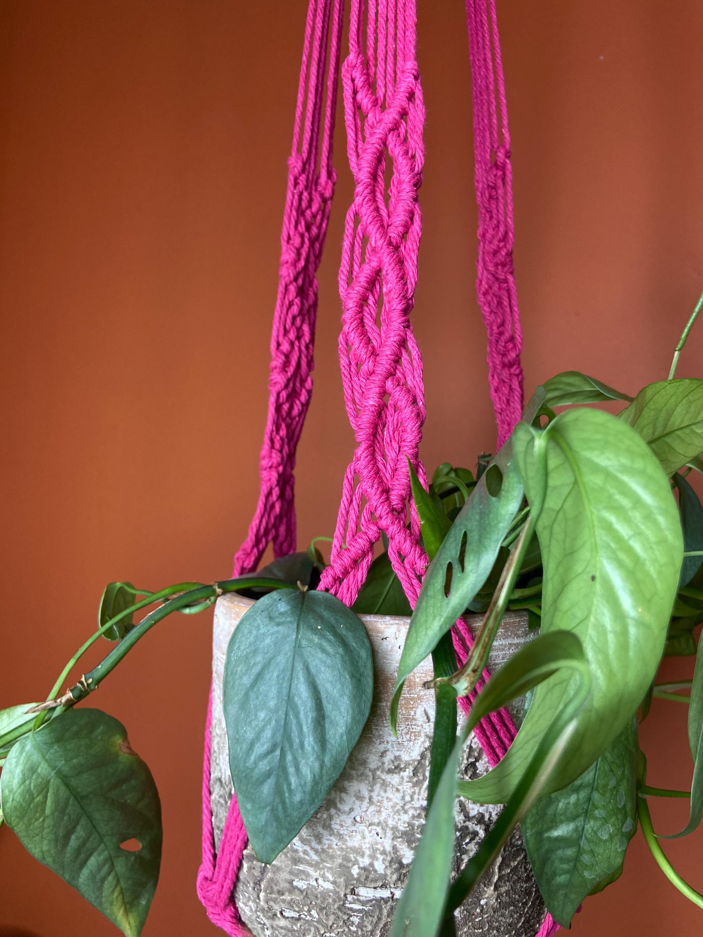 Extra Long Macrame Plant Hanger 44”