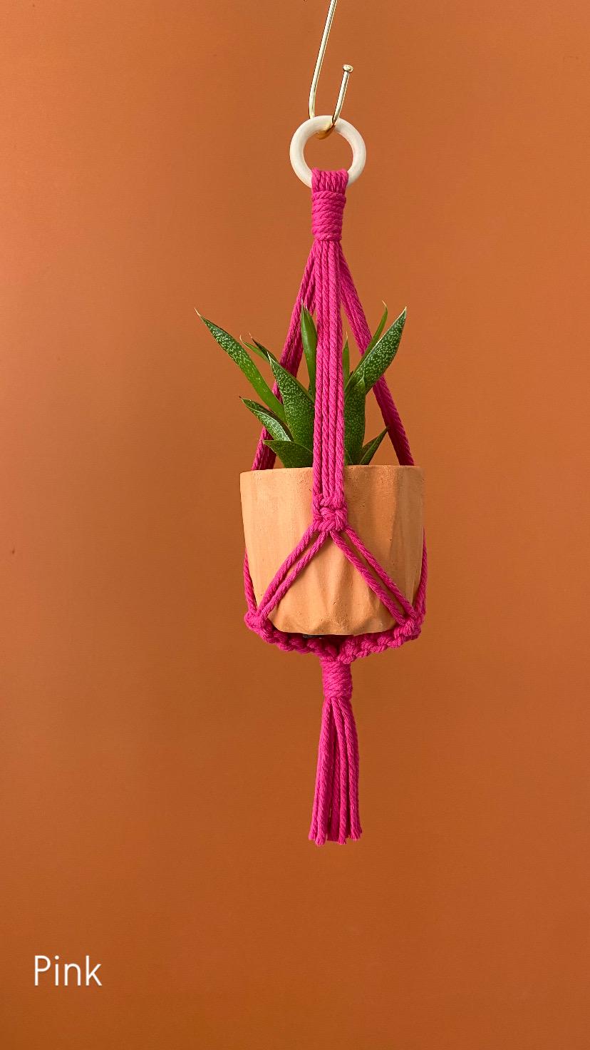 Mini Macrame Plant Hanger, Succulent Planter 14”