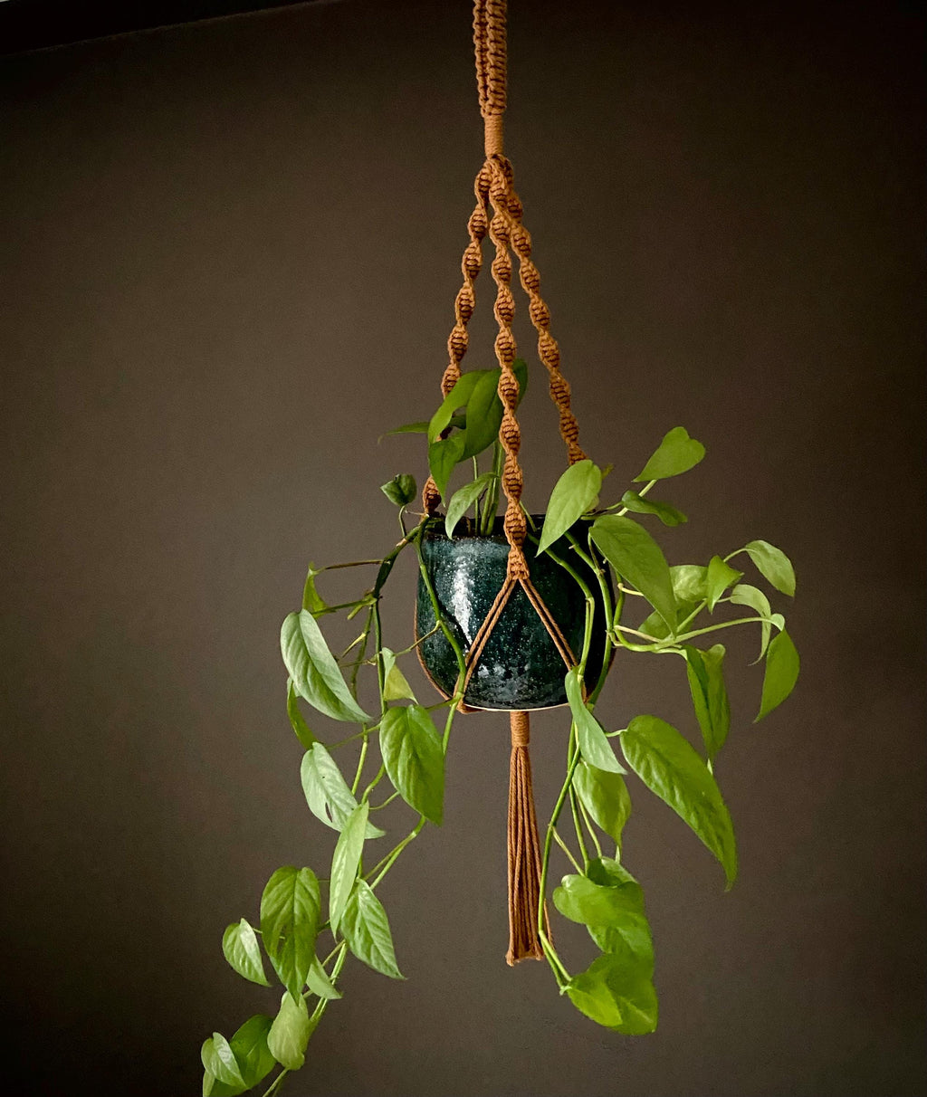Macrame Plant Hanger 33”