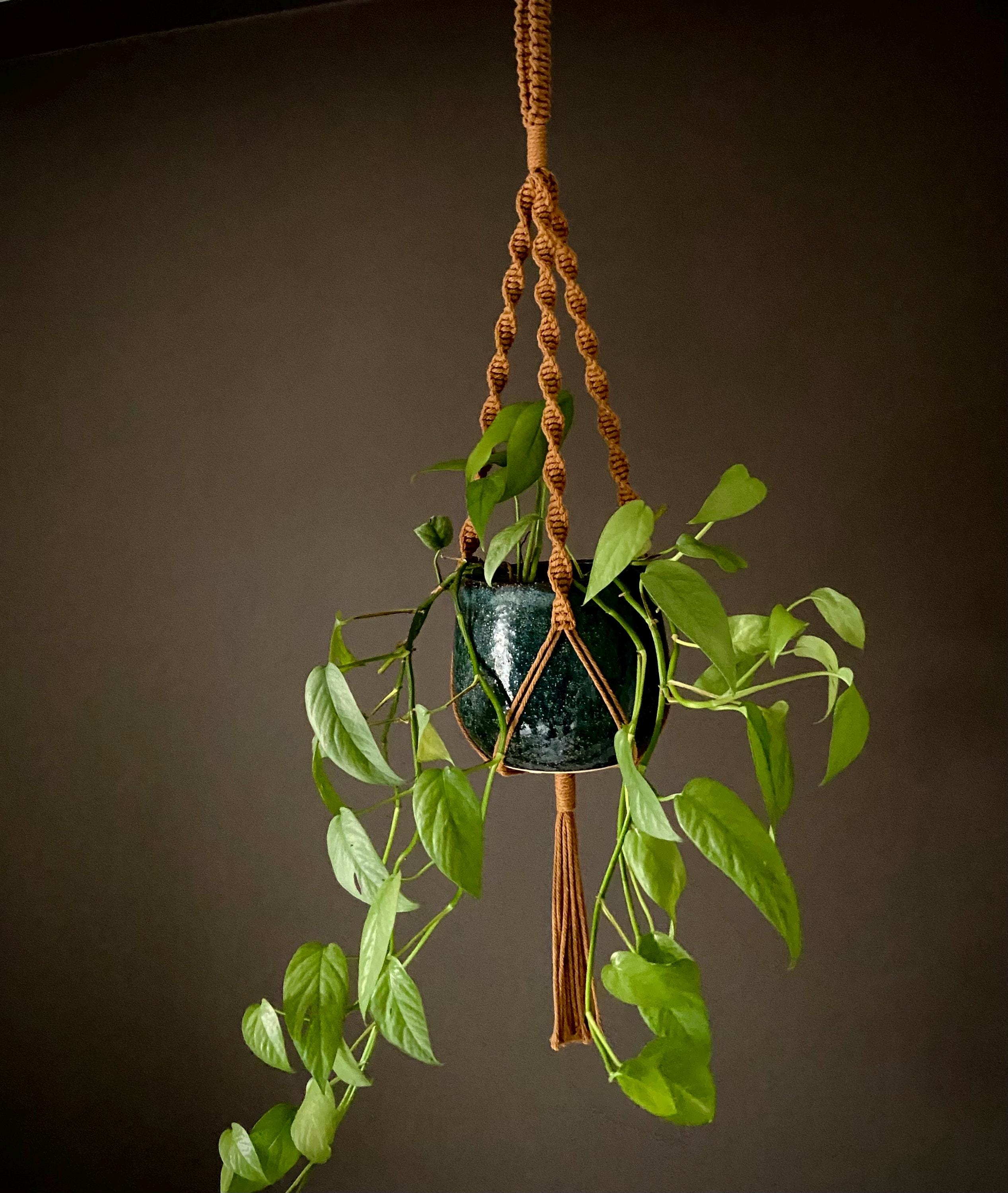 Macrame Plant Hanger 33”