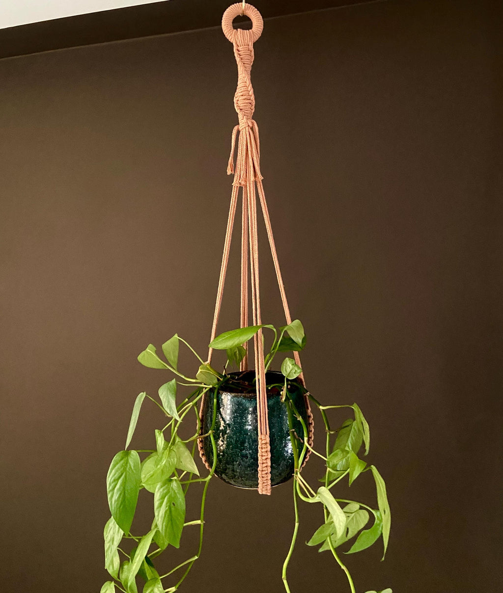 No Tassel Macrame Plant Hanger 28”