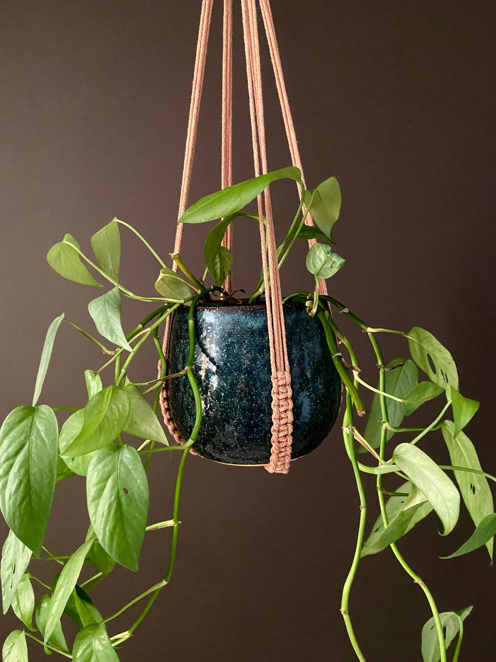 No Tassel Macrame Plant Hanger 28”
