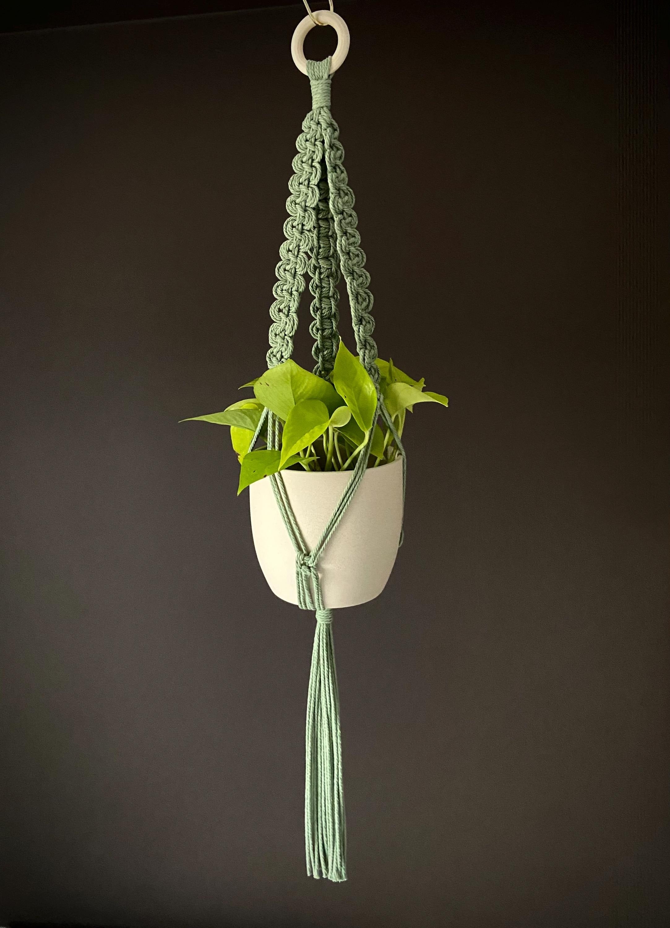 Macrame Plant Hanger: Wave, Boho Home Decor, Pot Holder, 34” Long, 16 Colour Options