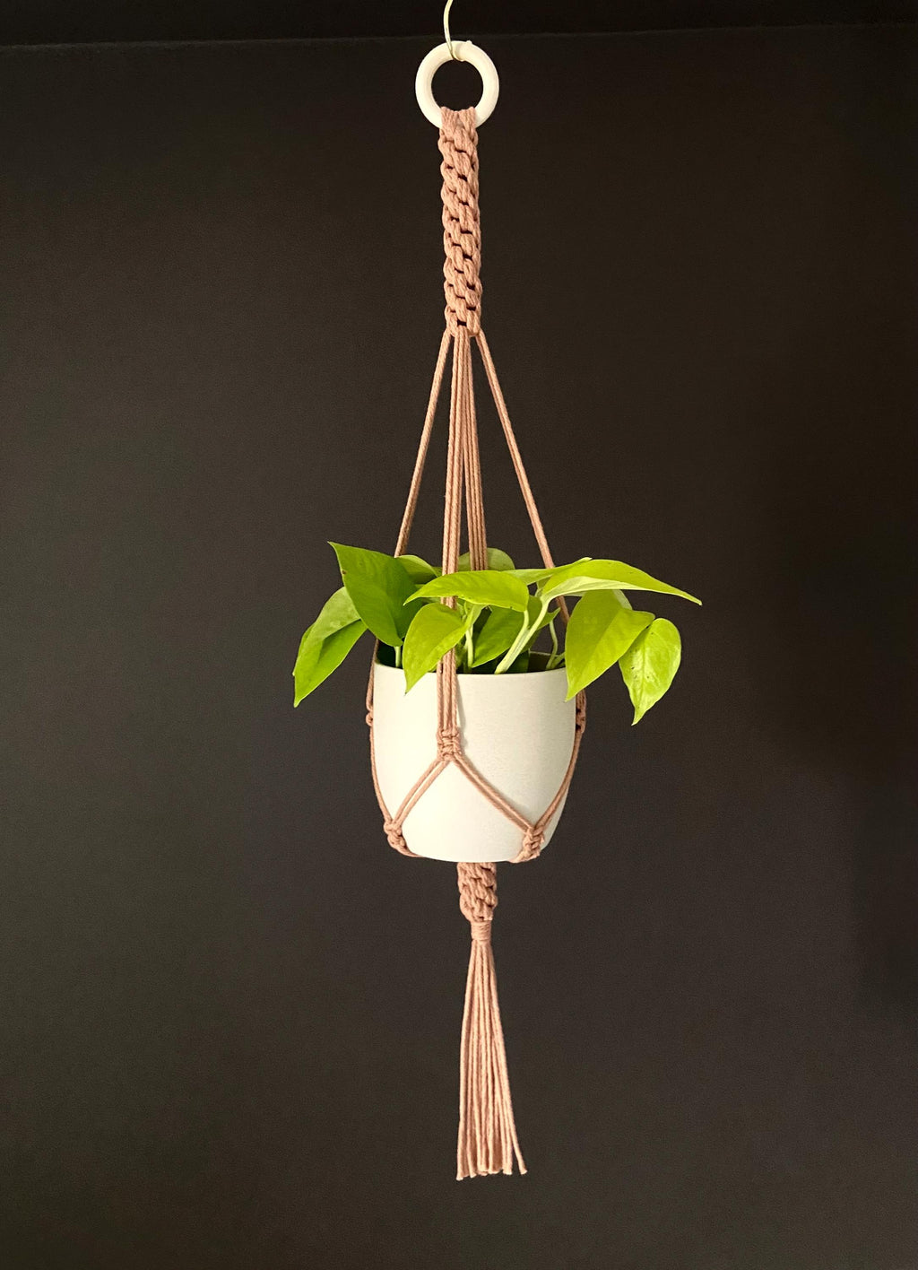 Macrame Plant Hanger: Boho Cotton 32in Planter Holder