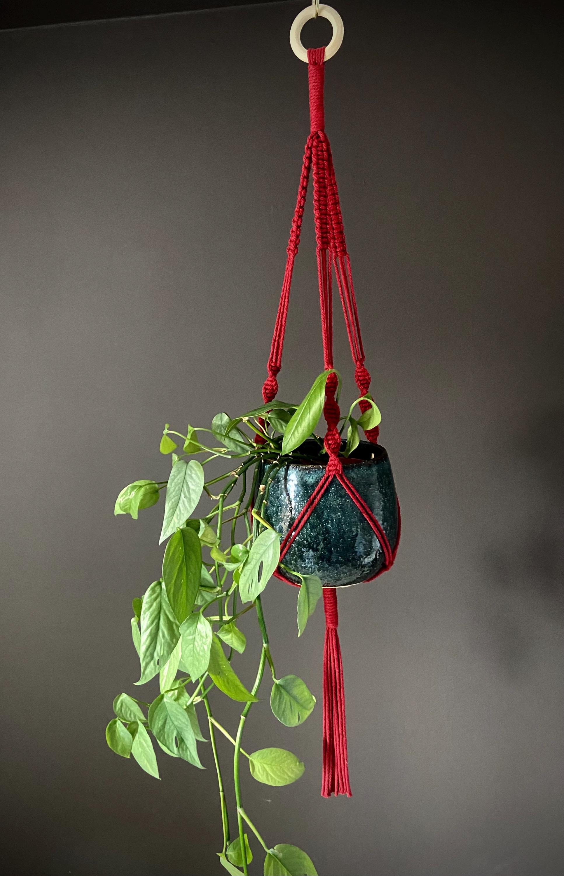 Macrame Plant Hanger 35"