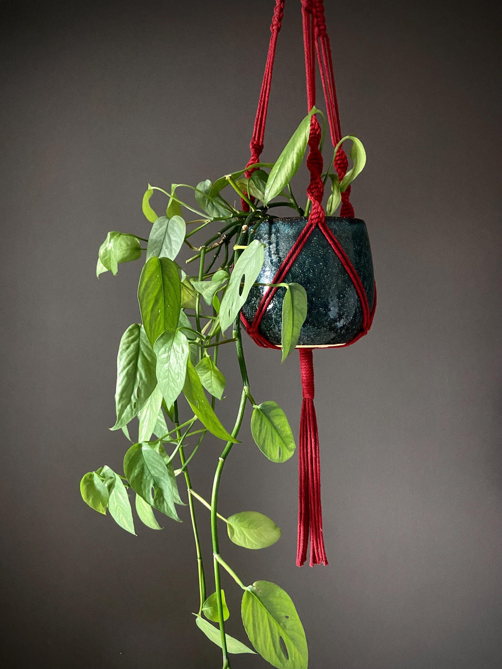Macrame Plant Hanger 35"