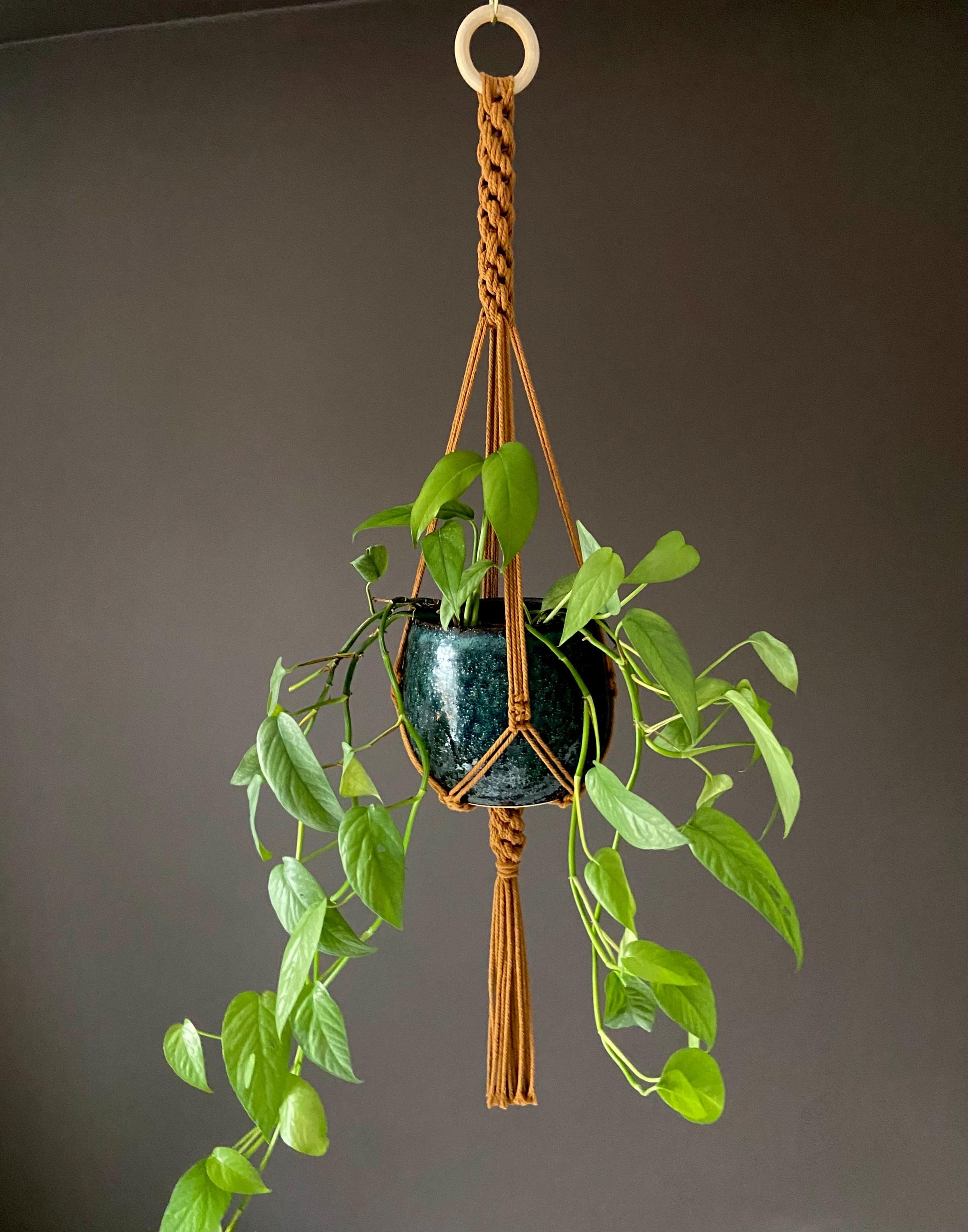 Macrame Plant Hanger: Boho Cotton 32in Planter Holder