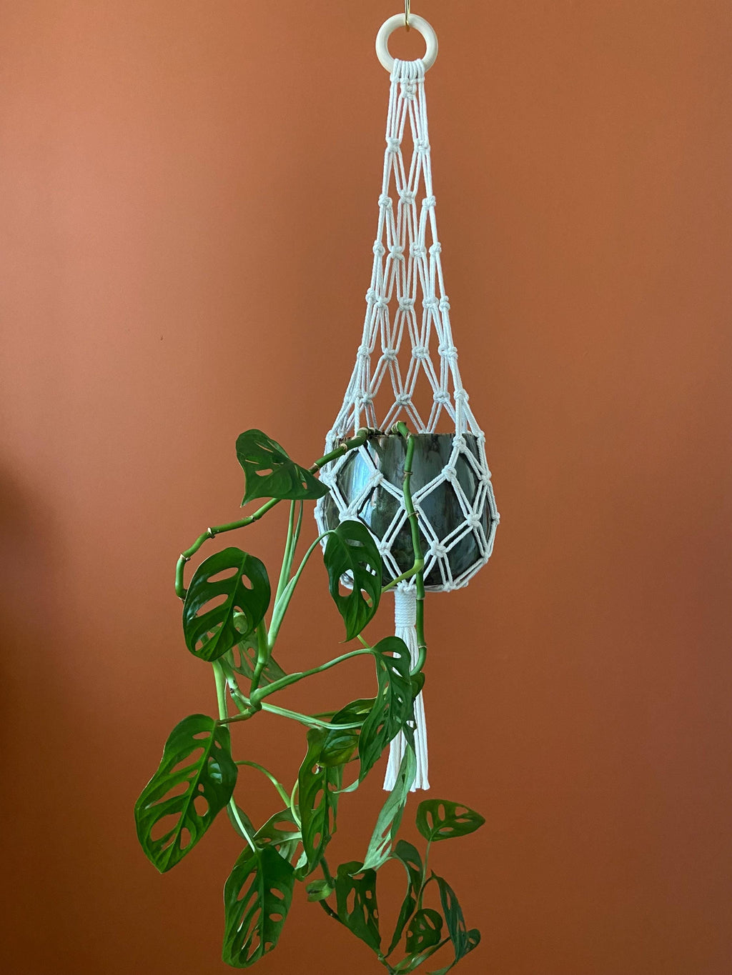 Hammock Macrame Plant Hanger 30"