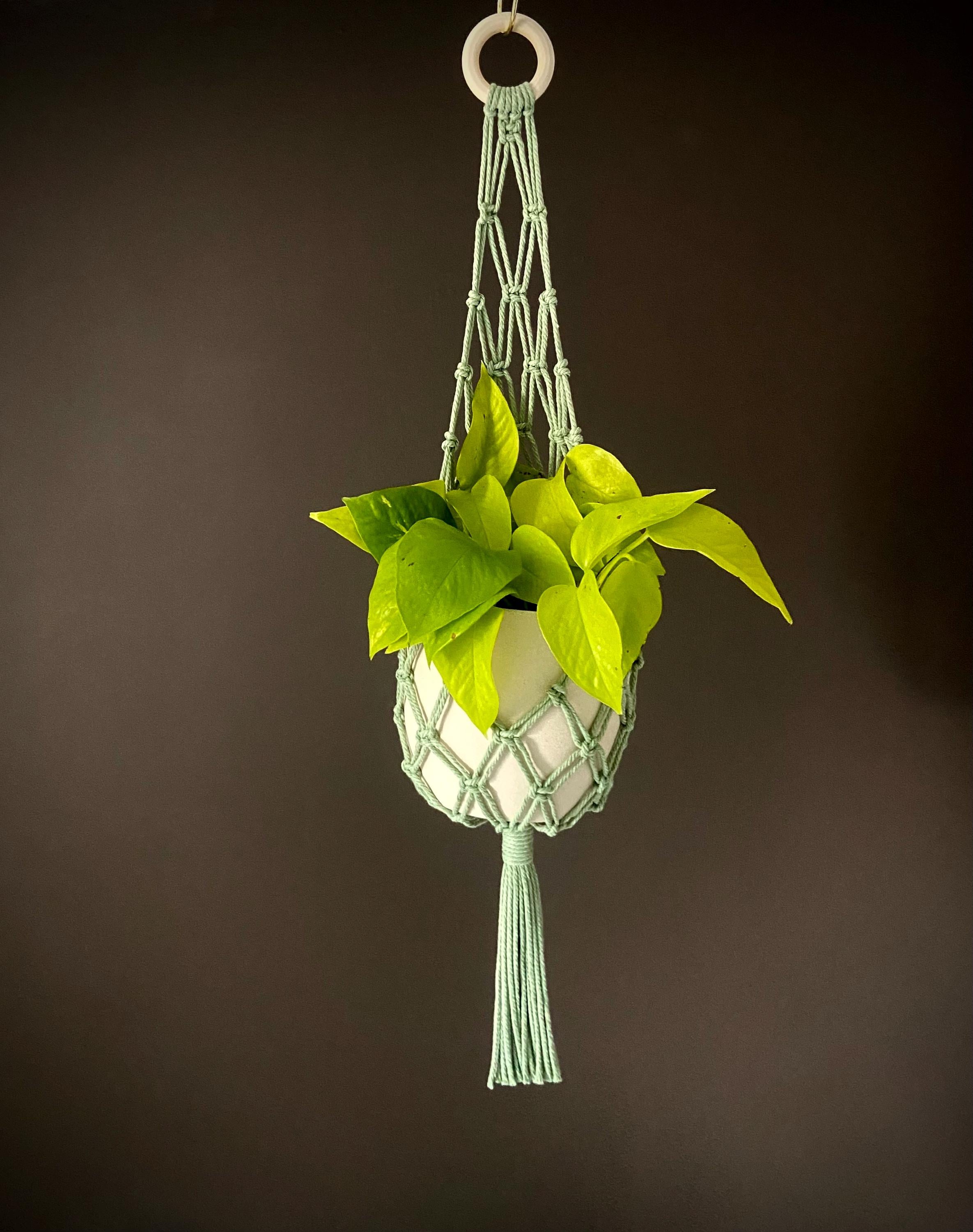 Hammock Macrame Plant Hanger 30"