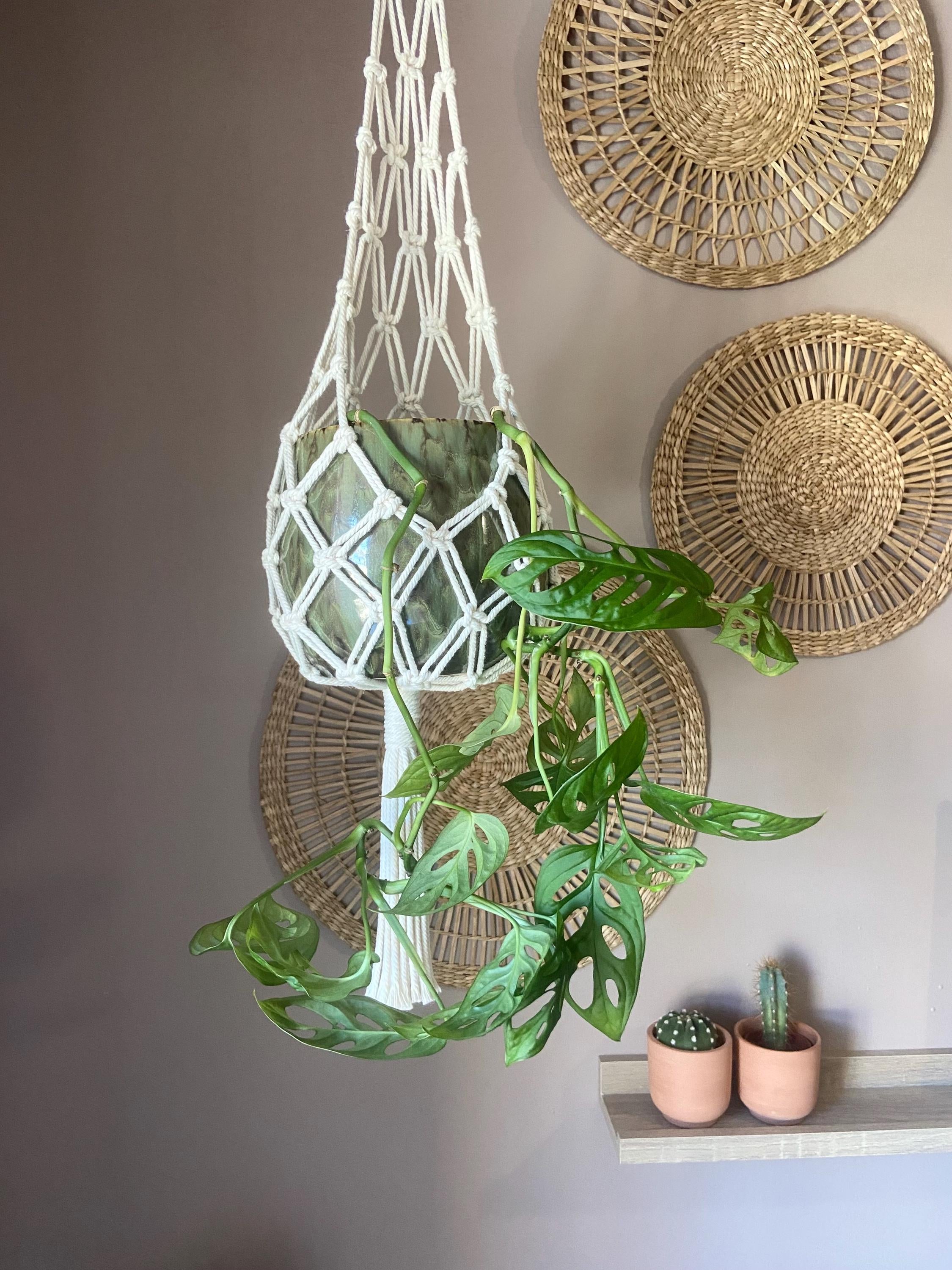 Hammock Macrame Plant Hanger 30"