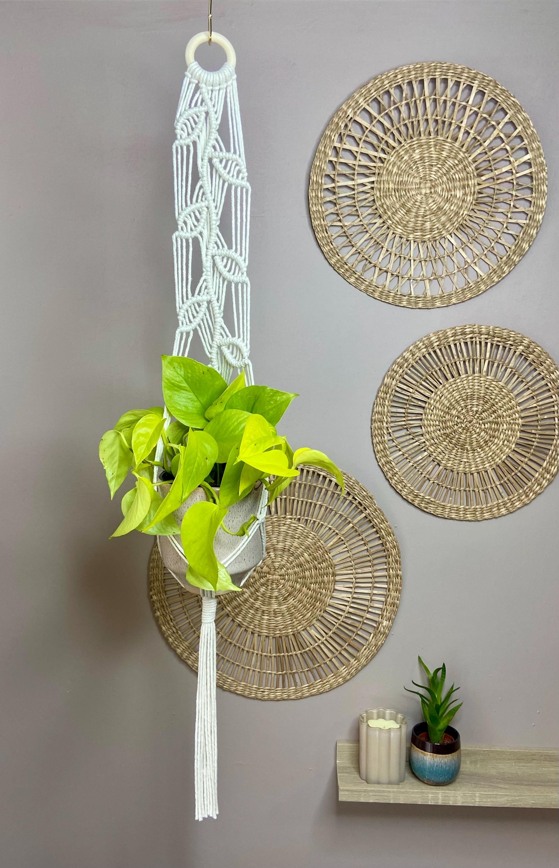 Macrame Vines Plant Hanger 35”