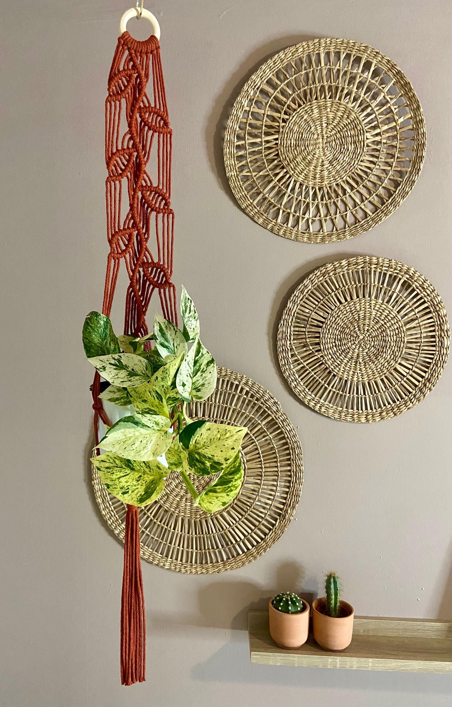 Macrame Vines Plant Hanger 35”