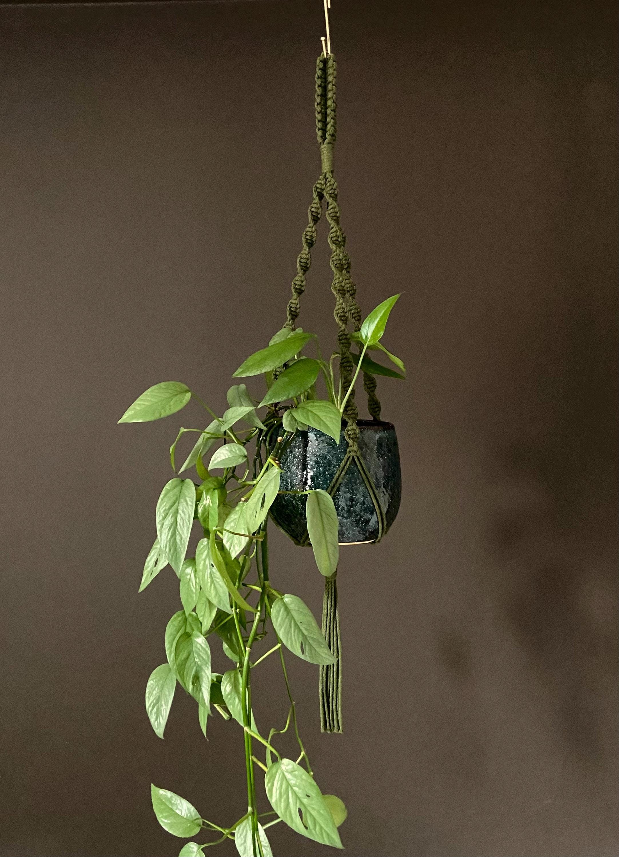 Macrame Plant Hanger 33”