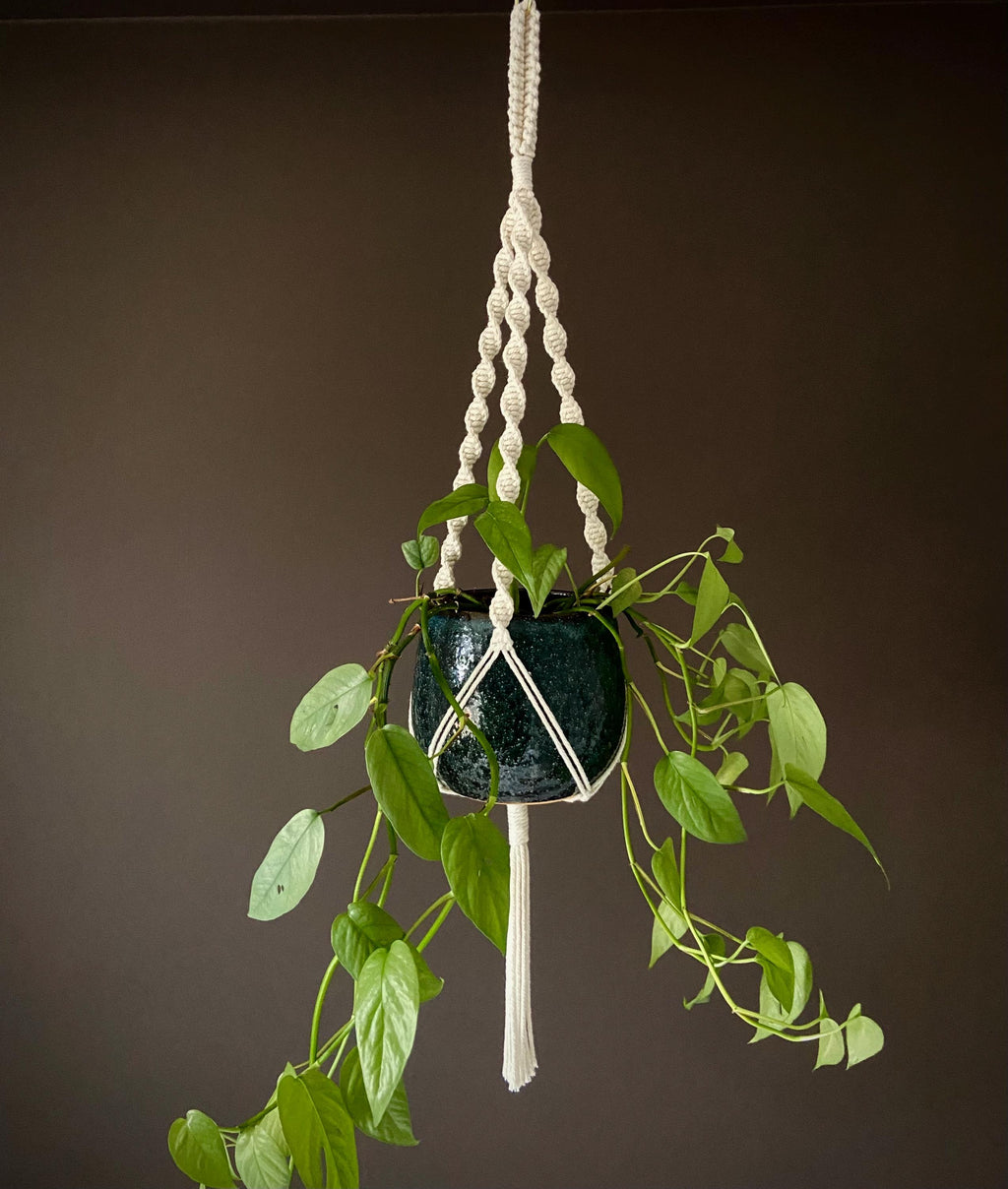 Macrame Plant Hanger 33”