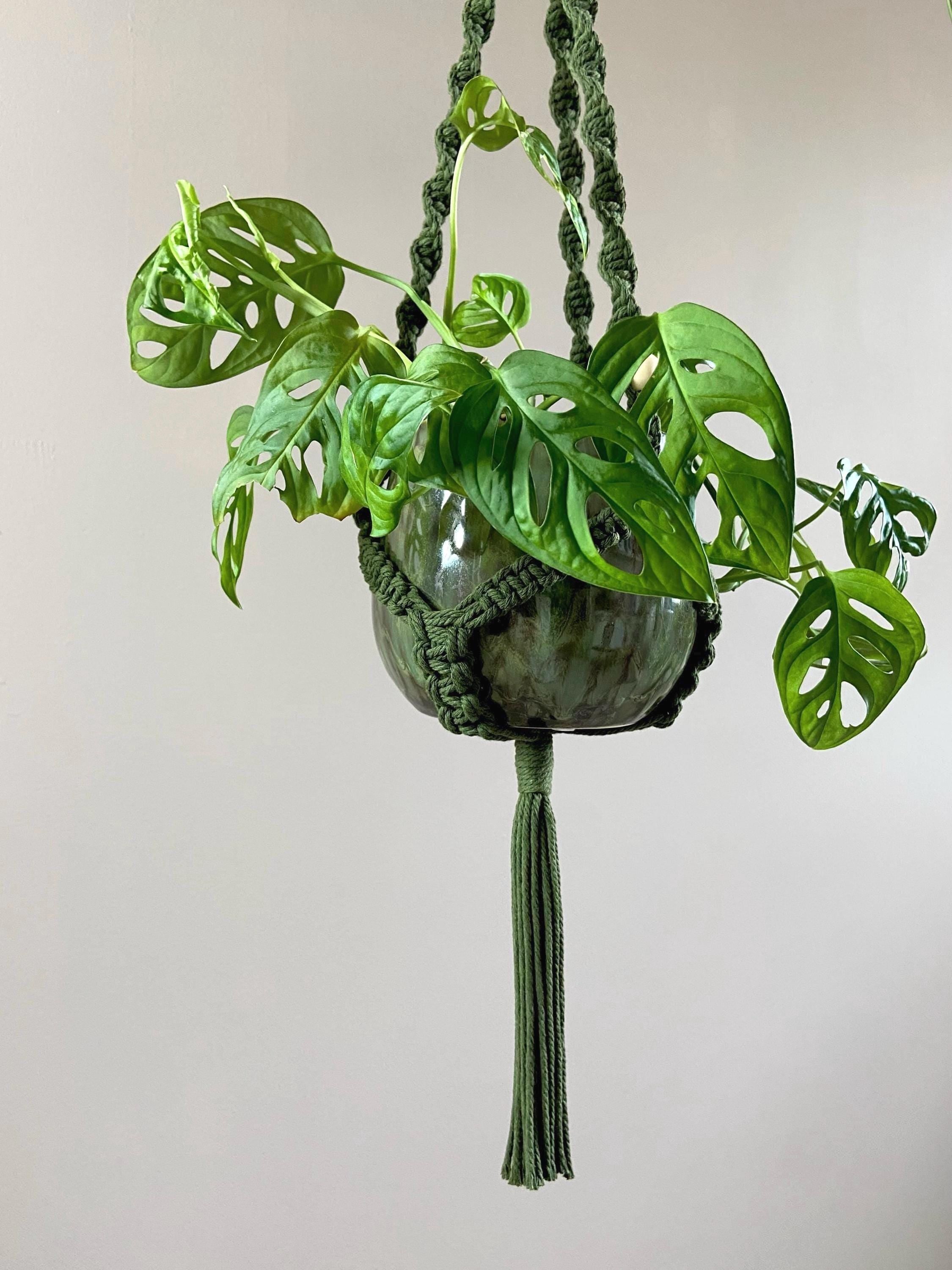 Beaded Macrame Plant Hanger 34”