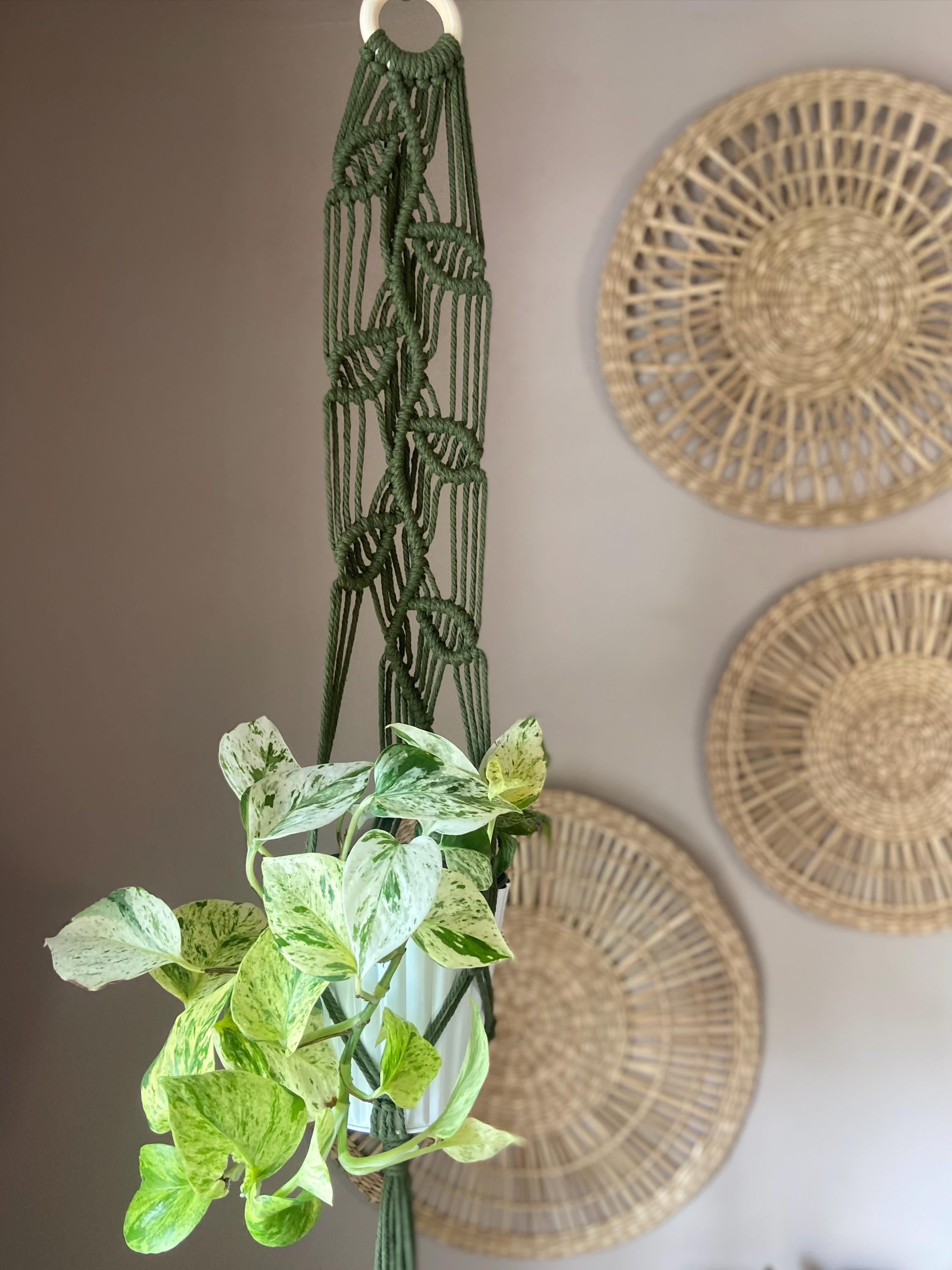 Macrame Vines Plant Hanger 35”