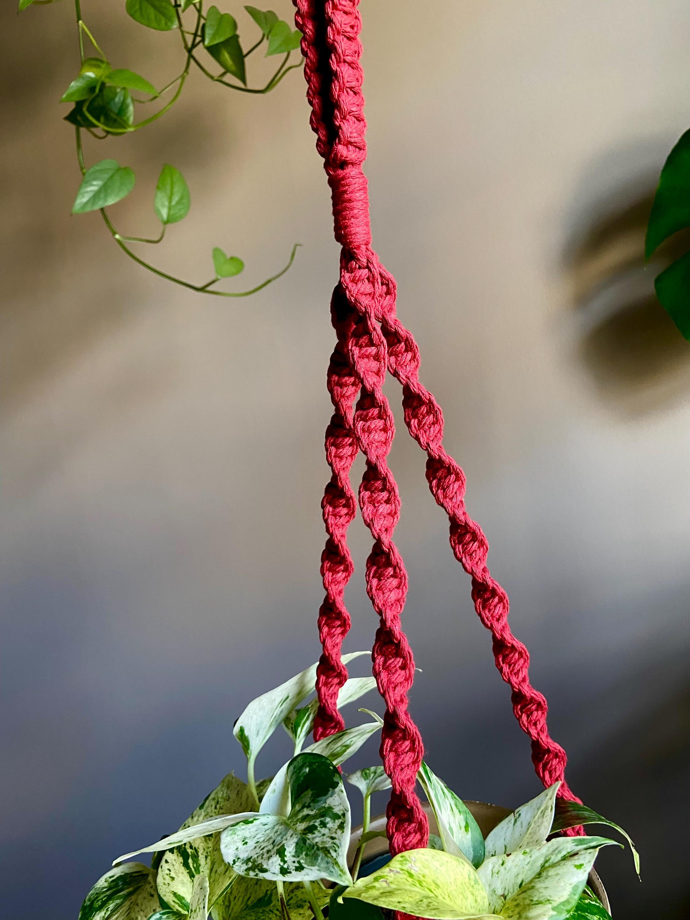 Macrame Plant Hanger 33”