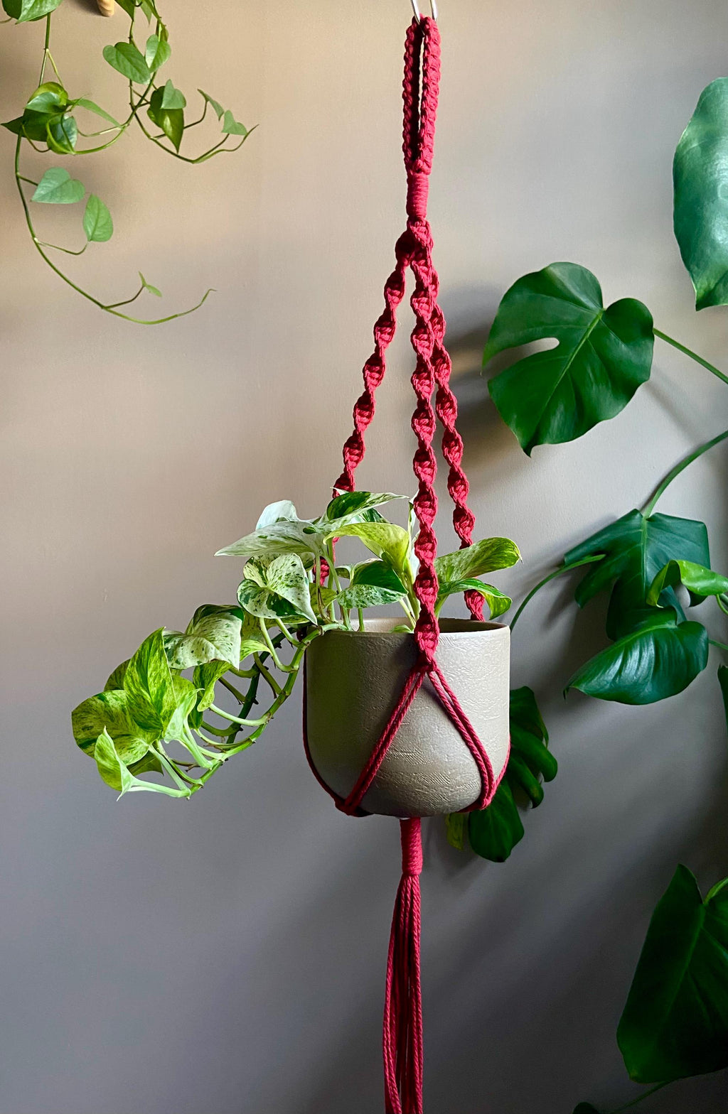 Macrame Plant Hanger 33”